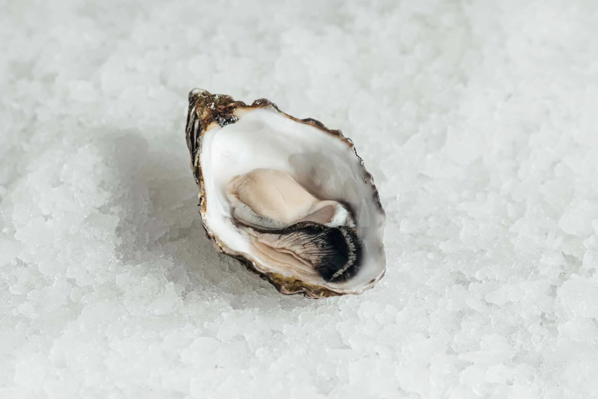 Gillardeau oesters