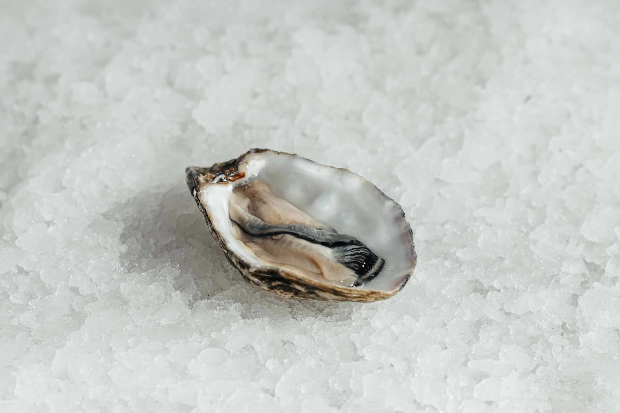 Juizette oesters