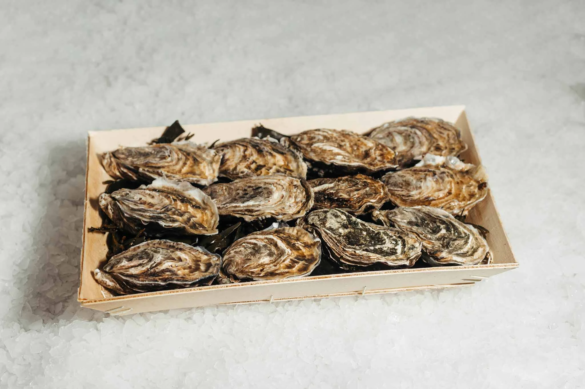 Juizette oesters